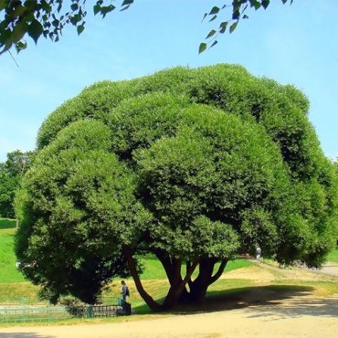 Без имени-181